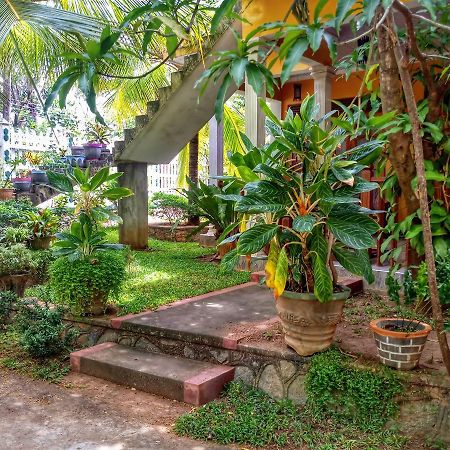 Sigiri Regal Residence สิกิริยา ภายนอก รูปภาพ